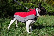 Mantello in nylon "Raincoat Cape" per Bulldog Francese
