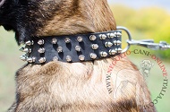 Collare in pelle "Spiked Holiday Collar" per Malinois