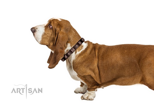 Collare decorato per Basset Hound