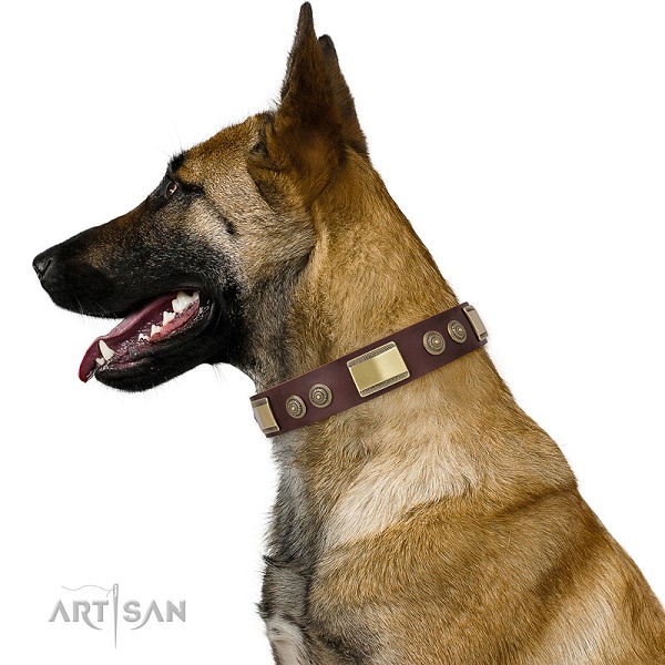 Malinois con il collare in pelle FDT Artisan 