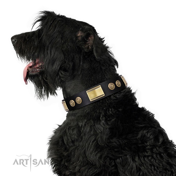 Terrier nero russo con elegante collare decorato