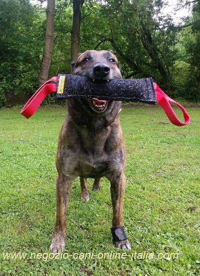 Salamotto da mordere per giochi con il
cane giovane