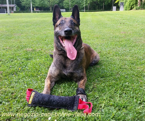 Salamotto da mordere in Tela Francese per giochi con il
cane