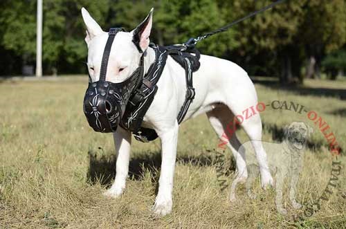 Cane di razza Bull Terrier con museruola
dipinta Filo spinato indosso