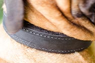 Collare in pelle foderato "No More Rubs" per Bullmastiff Collare in pelle foderato "No More Rubs" per Bullmastiff