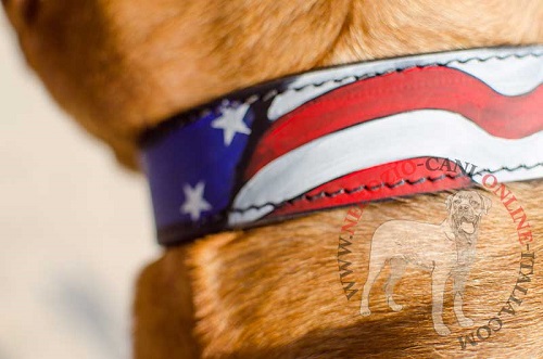 Originale collare con
disegno di bandiera americana per Dogue de Bordeaux
