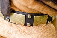 Collare in pelle con decorazioni "Solid Boss" per Bullmastiff