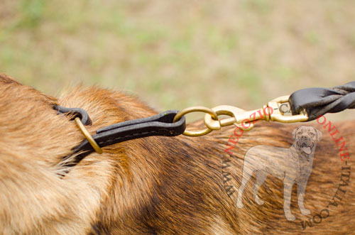 Collare a strozzo in cuoio per addestramento del Malinois