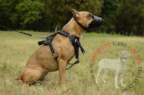 Museruola in cuoio per cani grandi perfetta per le
passeggiate