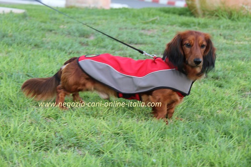 Confortevole cappottino per cani di taglia piccola