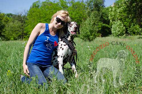 Pettorina in pelle naturale con decorazioni è
ottima scelta per il vostro cane