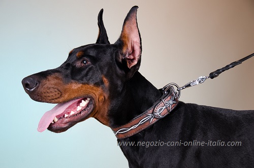 Grazioso collare con disegno di
filo spinato indossato da Dobermann