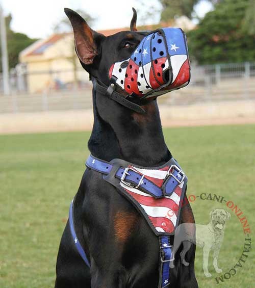 Cane di razza Dobermann con museruola
dipinta Bandiera Americana indosso