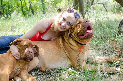 Dogue de Bordeaux con collare regolabile con
piastrina personalizzata