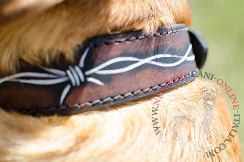 Grazioso collare con disegno di
filo spinato indossato da Dogue de Bordeaux