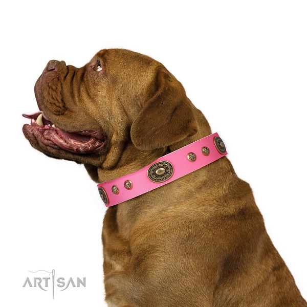 Cane di razza Dogue de Bordeaux con collare rosa indosso