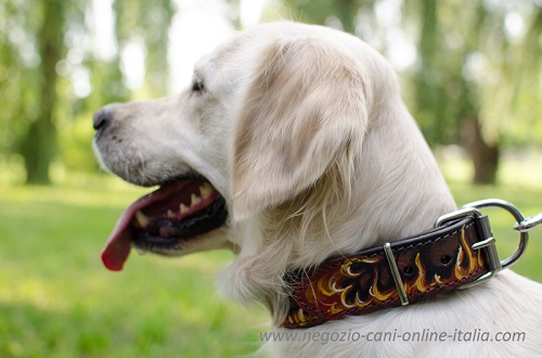 Collare di stile con disegno di fuoco
idossato da Golden Retriever