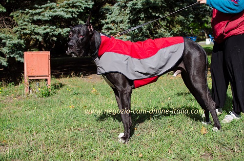 Cappottino per cani di taglia grande come Alano