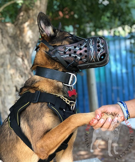 Museruola dipinta a mano per Malinois