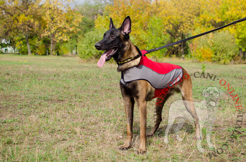 Il cappotto per Malinois permette di agganciare il guinzaglio