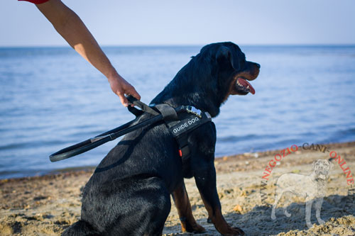 Pettorina per cane guida è regolabile