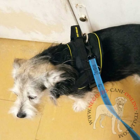 Leggera
pettorina in nylon per cane