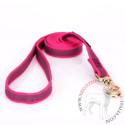 Guinzaglio di colore rosa in nylon gommato per cani