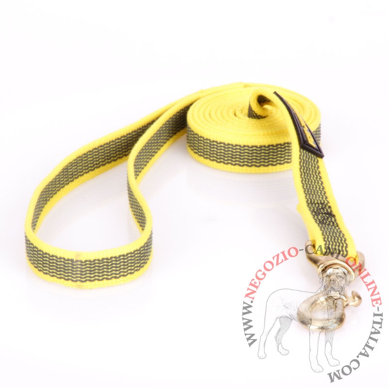 Guinzaglio per Cani Flexi Giallo Nero