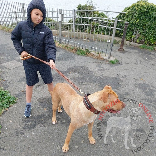 Guinzaglio per passeggiate con cane