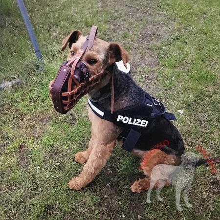 Museruola professionale per Airedale terrier