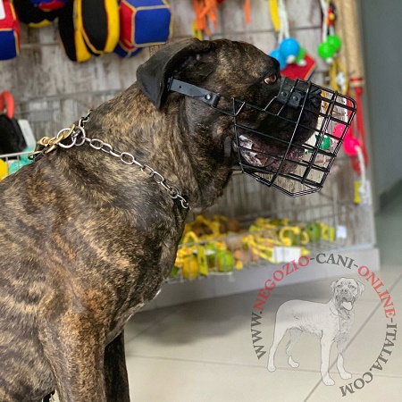 Museruola a cestello gommata per Cane Corso