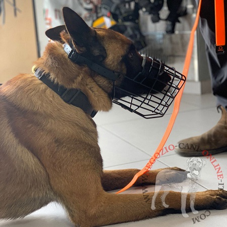 Museruola a cestello gommata per Malinois