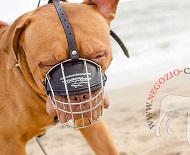 Leggera museruola a cestello in metallo per Dogue de Bordeaux Leggera museruola a cestello in metallo per Dogue de Bordeaux