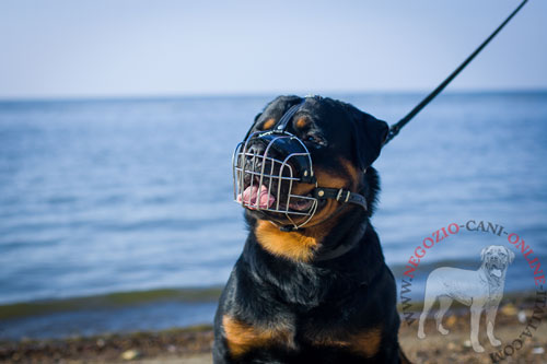 Museruola a cestello in metallo per Rottweiler