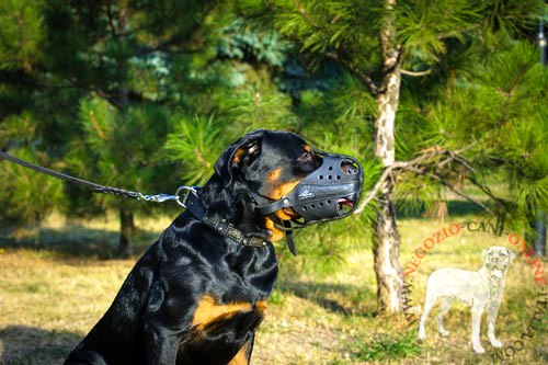 Museruola in cuoio rinforzata per Rottweiler