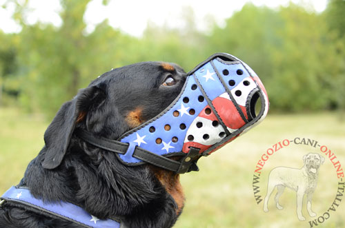 Rottweiler con museruola
disegnata in vera pelle indosso