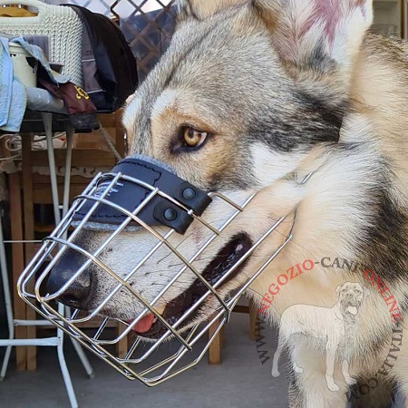 Resistente museruola per Cane Lupo