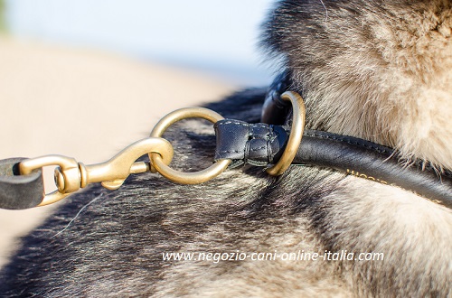 Collare a strozzo in pelle arrontodata per cane di taglia media