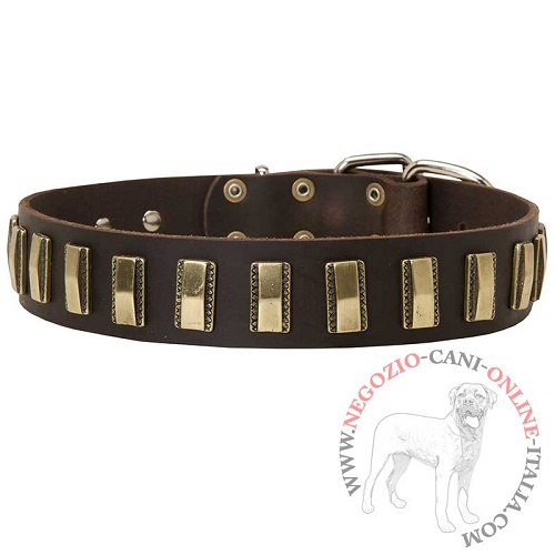 Collare in pelle con decorazioni Column Style per Malinois