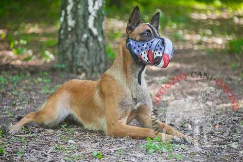 Comoda, resistente ed elegante museruola con disegno
Filo
spinato indossata da Malinois