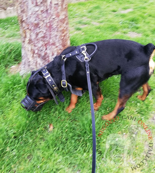 Comodo guinzaglio per cane