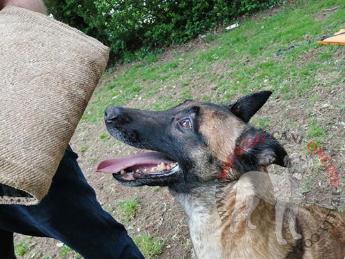 Manica protettiva
per formazione del cane