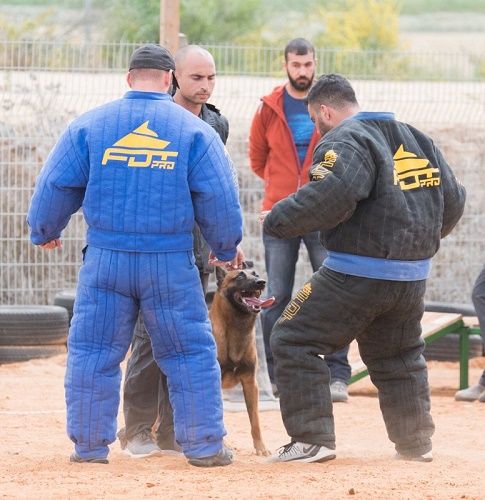 Affidabile tuta protettiva per addestratori e figuranti