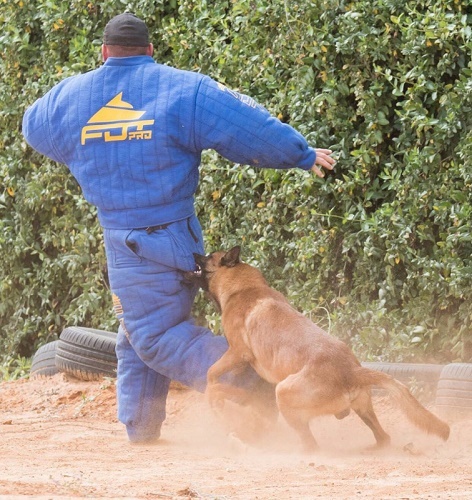 Tuta protettiva per IPO e Schutzhund