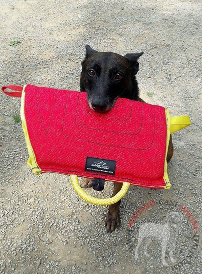 Manica protettiva per
addestramento del cane