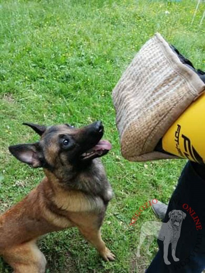 Manica protettiva in juta per l'addestramento del cane
giovane