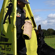 Manica protettiva con fodera in juta per addestramento cane