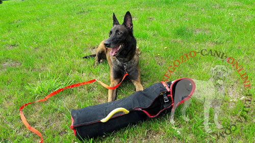 Manica per addestramento cane con fodera