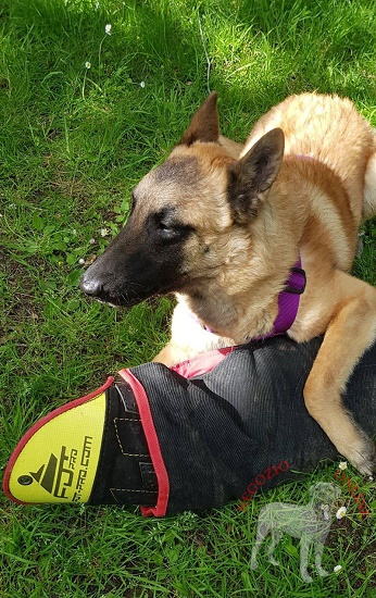 Manica protettiva per addestramento
professionale del cane