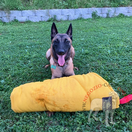 Manica protettiva in Tela Francese per malinois